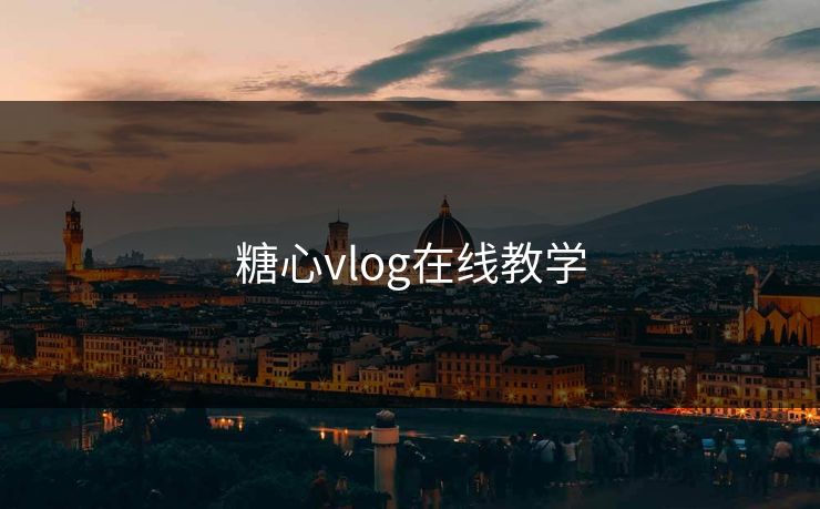 糖心vlog在线教学