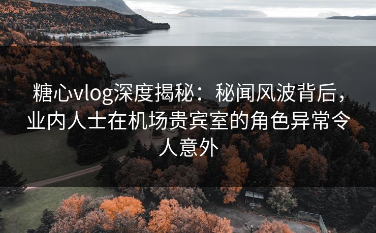 糖心vlog深度揭秘：秘闻风波背后，业内人士在机场贵宾室的角色异常令人意外